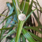 Star necklace (made to order)