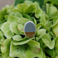 Landscape jasper ring