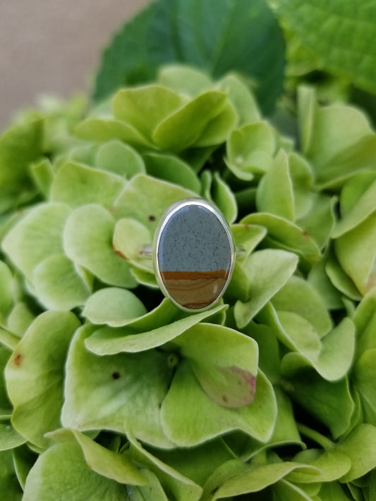 Landscape jasper ring