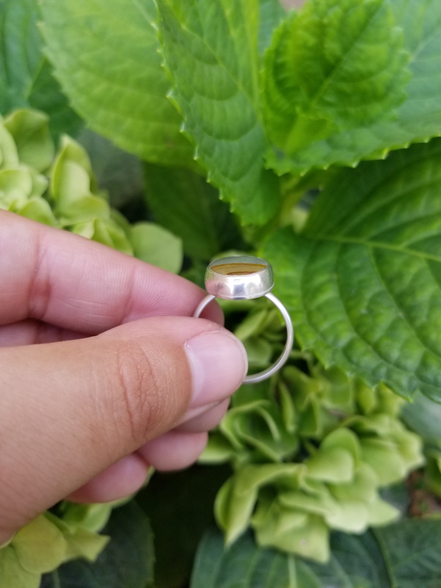 Landscape jasper ring