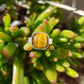 Tiger's eye ring